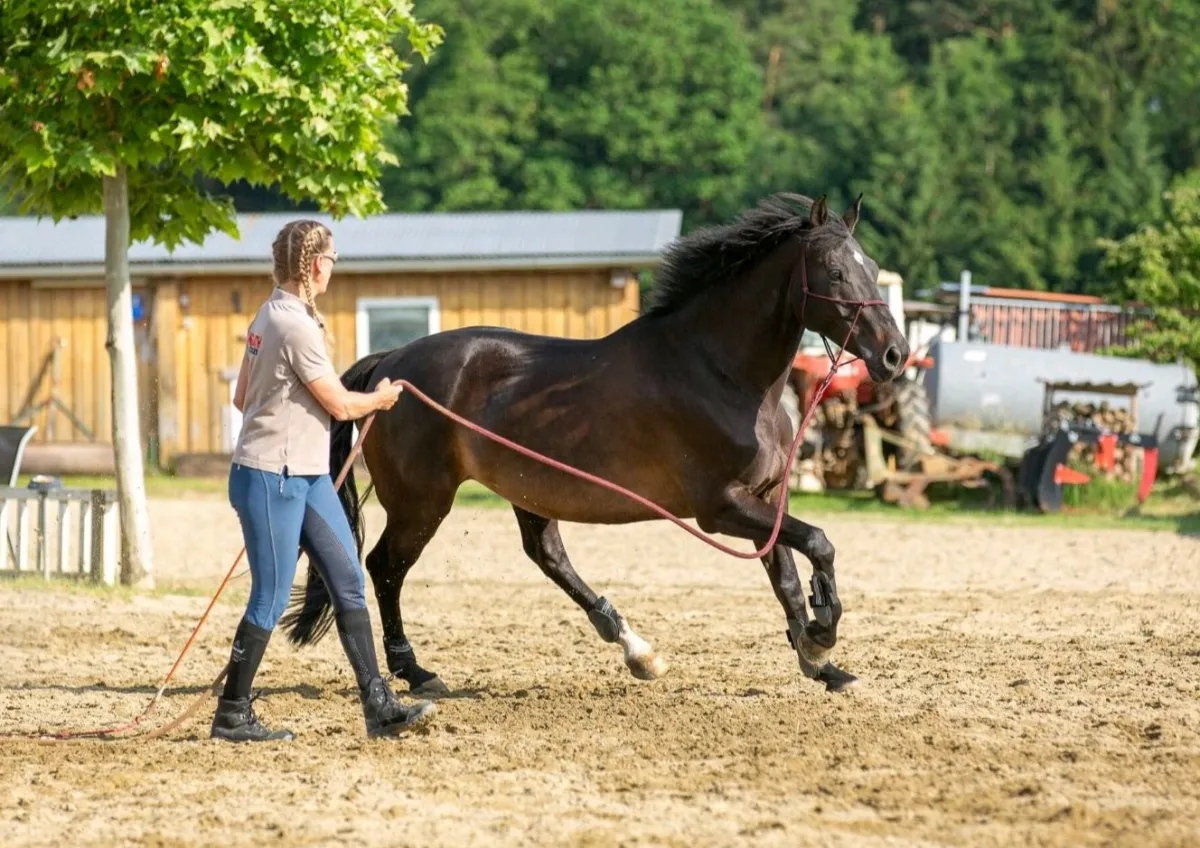 Horsemanship